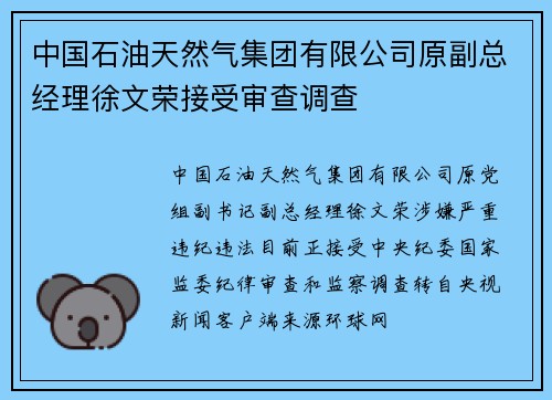 中国石油天然气集团有限公司原副总经理徐文荣接受审查调查