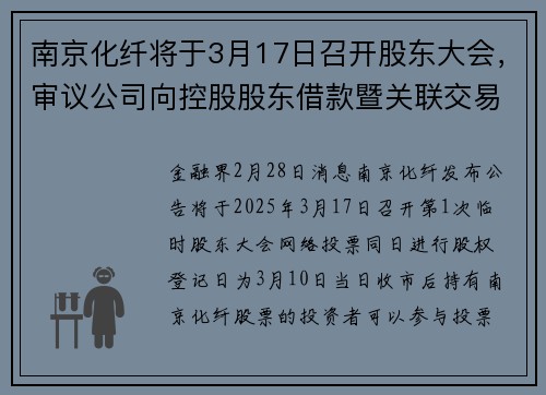 南京化纤将于3月17日召开股东大会，审议公司向控股股东借款暨关联交易的议案