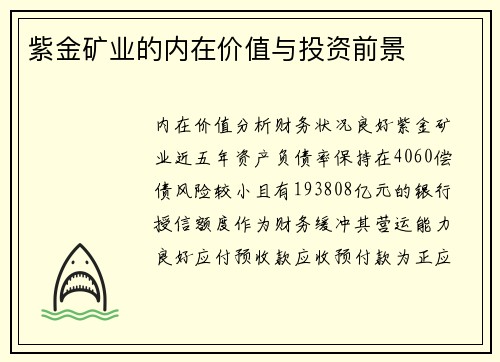 紫金矿业的内在价值与投资前景