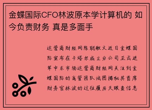 金蝶国际CFO林波原本学计算机的 如今负责财务 真是多面手