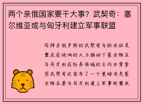 两个亲俄国家要干大事？武契奇：塞尔维亚或与匈牙利建立军事联盟
