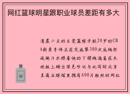 网红篮球明星跟职业球员差距有多大