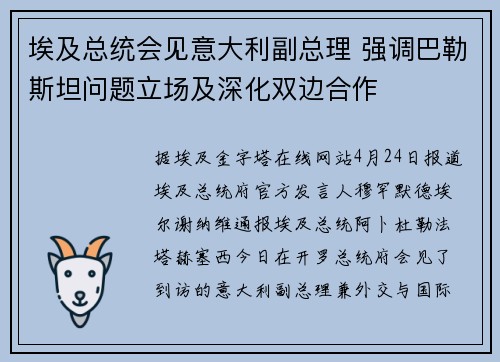 埃及总统会见意大利副总理 强调巴勒斯坦问题立场及深化双边合作
